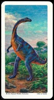 17 Plateosaurus